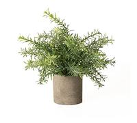 Hill Interiors Rosemary Stone Effect Artificial Plant (24cm x 24cm x 24cm) (Green)