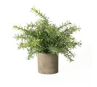 Hill Interiors Rosemary Stone Effect Artificial Plant - Green - 24cm x 24cm x 24cm - Green - 100% Mixed