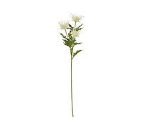 Hill Interiors Sea Holly Spray Artificial Flower in Cream Hill Interiors Cream
