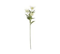 Hill Interiors Sea Holly Spray Artificial Flower (One Size) (Cream)