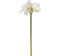 Hill Interiors Single Artificial Amaryllis Flower Stem - White - One Size