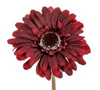 Hill Interiors Soft Gerbera Gerbera Artificial Flower in Burgundy Hill Interiors Burgundy