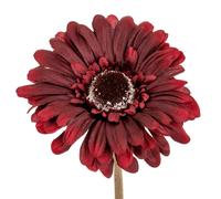 Hill Interiors Soft Gerbera Gerbera Artificial Flower In Burgundy Burgundy One Size