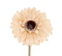 Hill Interiors Soft Gerbera Gerbera Artificial Flower In Cream Cream One Size