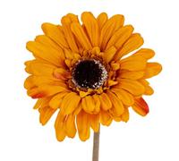 Hill Interiors Soft Gerbera Gerbera Artificial Flower in Orange Hill Interiors Orange