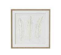 Hill Interiors Solli Feathers Framed Art Print - Brown/Grey/White - 50cm x 2cm x 50cm - Brown/Grey/White