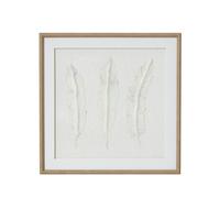 Hill Interiors Solli Feathers Framed Art Print - Brown/Grey/White - 50cm x 2cm x 50cm - Brown/Grey/White - Brown/Grey/White