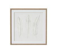 Hill Interiors Solli Feathers Framed Art Print In Dark Brown Dark Brown