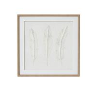 Hill Interiors Solli Feathers Framed Art Print In Dark Brown Dark Brown One Size