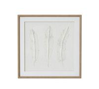 Hill Interiors Solli White Feathers Art Mounted In Beaded Frame - Wood - L2 X W50 X H50 Cm - Brown