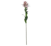 Hill Interiors Stargazer Lily Artificial Flower (Pack of 1) - White/Pink - One Size