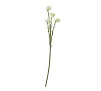 Hill Interiors Statice Artificial Flower Spray - Cream - 64cm