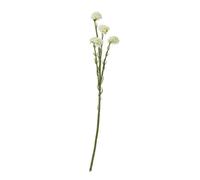 Hill Interiors Statice Artificial Flower Spray Cream (64Cm)