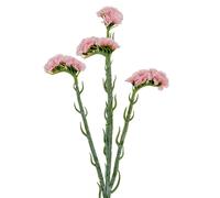 Hill Interiors Statice Artificial Flower Spray - Pink - One Size