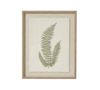 Hill Interiors Textured Fern Texture Torn Paper Framed Art Print in White Hill Interiors White