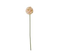 Hill Interiors The Natural Garden Collection Allium Artificial Flower - Apricot/White - One Size