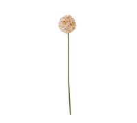 Hill Interiors The Natural Garden Collection Allium Artificial Flower In Green Green One Size