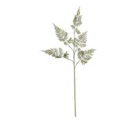 Hill Interiors The Natural Garden Collection Bracken Fern Artificial Flower Spray Green (One Size)