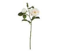 Hill Interiors The Natural Garden Collection Charity Rose Artificial Flower Pale Blush (One Size)