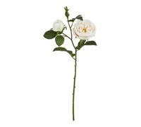 Hill Interiors The Natural Garden Collection Charity Rose Artificial Flower Pale Blush (One Size)