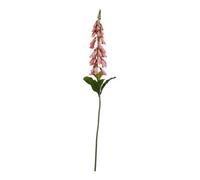 Hill Interiors The Natural Garden Collection Foxglove Artificial Plant Pink (55Cm)