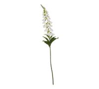 Hill Interiors The Natural Garden Collection Foxglove Artificial Plant White (11Cm)