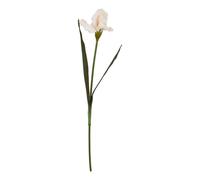 Hill Interiors The Natural Garden Collection Fringed Iris Artificial Flower In Green Green One Size