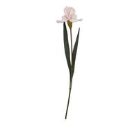 The Natural Garden Collection Fringed Iris Artificial Flower Hill Interiors Pale Pink One Size
