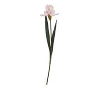 Hill Interiors The Natural Garden Collection Fringed Iris Artificial Flower in Pale Pink Hill Interiors Pale Pink