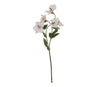 Hill Interiors The Natural Garden Collection Hellebore Artificial Flower In Green Green One Size