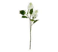 Hill Interiors The Natural Garden Collection Lilac - Artificial Flower (Single Stem) - Plastic - L30 X W30 X H75 Cm - White