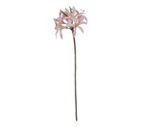 Hill Interiors The Natural Garden Collection Lily Stem Artificial Flower Pink/green (One Size)