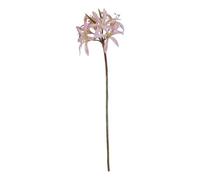 Hill Interiors The Natural Garden Collection Lily Stem Artificial Flower Pink/green (One Size)