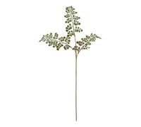 Hill Interiors The Natural Garden Collection Maidenhair Fern Artificial Flower In Green Green One Size