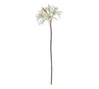 Hill Interiors The Natural Garden Collection Nerine Lily Artificial Flower (One Size) (White)