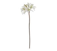 Hill Interiors The Natural Garden Collection Nerine Lily Artificial Flower - White - One Size - White