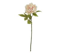 Hill Interiors The Natural Garden Collection Peony Artificial Flower In Pink Pink One Size