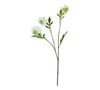 Hill Interiors The Natural Garden Collection Scabious Stem Artificial Plant - White - One Size - White