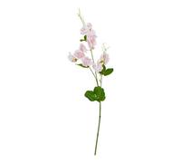 Hill Interiors The Natural Garden Collection Sweetpea (Single Stem Flower) - Plastic - Height 61 Cm - Pink