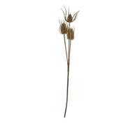 Hill Interiors Triple Teasel Artificial Flower Brown (One Size)