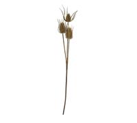 Triple Teasel Artificial Flower Hill Interiors Brown One Size