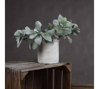 Hill Interiors Uk Homeliving Artificial Lambs Ear Spray