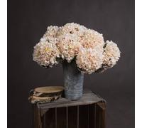 Hill Interiors Uk Homeliving Autumn White Hydrangea