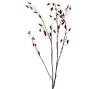 Hill Interiors Uk Homeliving Burgundy Rosehip Stem