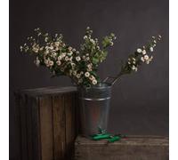 Hill Interiors Uk Homeliving Cream Wild Meadow Rose