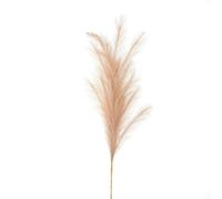 Hill Interiors Uk Homeliving Large Faux Pampas Grass Stem