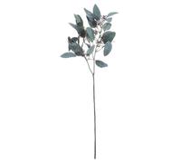 Hill Interiors Uk Homeliving Seeded Eucalyptus Stem