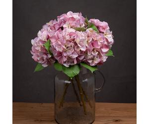 Hill Interiors Uk Homeliving Shabby Pink Single Hydrangea
