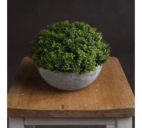 Hill Interiors Uk Homeliving Small Hebe Globe Pot