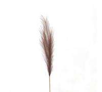Hill Interiors Uk Homeliving Taupe Faux Pampas Grass Stem